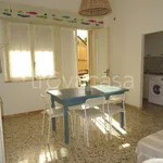 Rent 3 bedroom apartment of 63 m² in Cecina