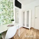 Rent a room in seville