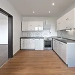 Rent 3 bedroom apartment of 75 m² in Děčín