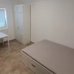 Rent 1 bedroom apartment in Zlín