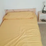 Rent 3 bedroom apartment in Salamanca