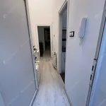 Rent 1 bedroom apartment of 48 m² in budapest