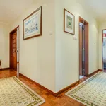 Rent 3 bedroom apartment in Lisbon