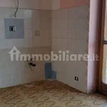 Rent 2 bedroom apartment of 60 m² in Moncalieri