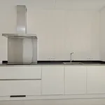 Rent 1 bedroom apartment of 87 m² in Eindhoven