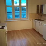 Rent 1 bedroom apartment in Teplice