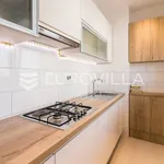 Rent 4 bedroom apartment of 170 m² in Zagreb