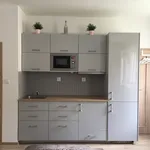 Rent 1 bedroom apartment of 34 m² in Ostrava