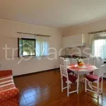 Rent 2 bedroom apartment of 50 m² in Perugia