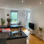 Offer for rent: Flat, 1 Bedroom