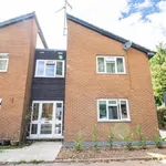 Rent 1 bedroom flat in Cardiff