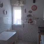 Rent 2 bedroom apartment of 60 m² in Ladispoli