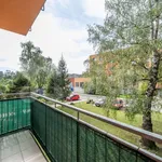 Rent 3 bedroom apartment in Opava