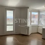 Pronajměte si 4 ložnic/e byt o rozloze 170 m² v Prague