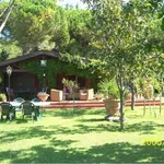 Rent 3 bedroom house of 80 m² in Magione