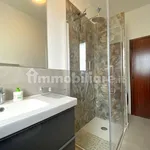 Rent 3 bedroom apartment of 70 m² in Forlì