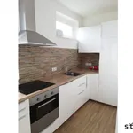 Rent 1 bedroom apartment of 34 m² in Prague