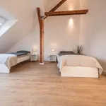 Rent 2 bedroom apartment of 70 m² in Essen