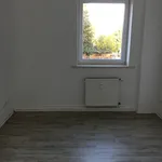 Freundliche und helle 4-Raumwohnung am Geiseltalsee zu vermieten!