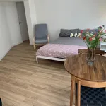 Rent 3 bedroom apartment in Valencia