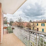 Rent 1 bedroom apartment in Bologna