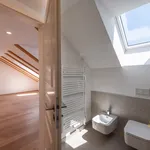 Rent 6 bedroom apartment of 202 m² in Prague