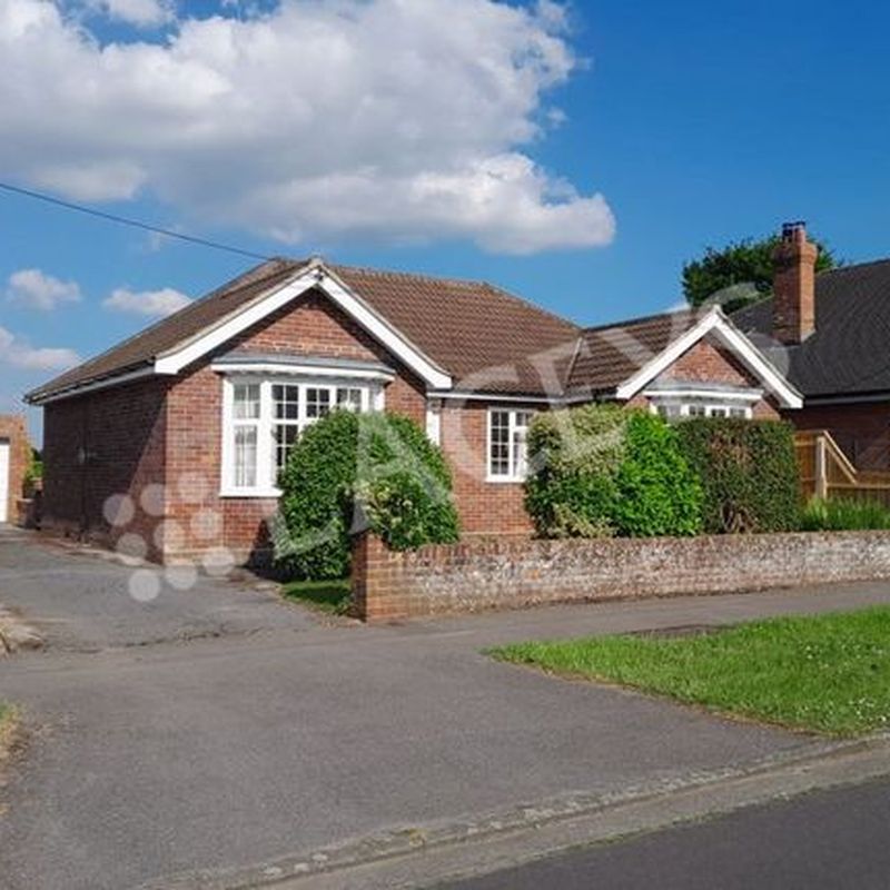 Detached bungalow to rent in Wraxhill Road, Yeovil BA20 Nash