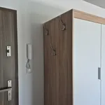 Rent 1 bedroom apartment of 18 m² in Gliwice