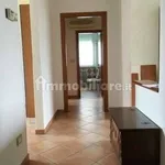 Rent 4 bedroom apartment of 90 m² in Livorno