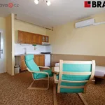 Rent 1 bedroom apartment in Brno