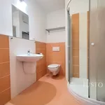 Pronájem 2+kk, 55 m², Písek - V Portyči