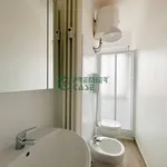 Rent 2 bedroom apartment of 50 m² in Turin