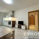 Rent 2 bedroom apartment of 48 m² in Pilsen