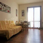 Rent 3 bedroom apartment of 60 m² in Massa