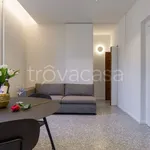 Rent 2 bedroom apartment of 50 m² in Verona