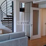 Rent 2 bedroom apartment of 75 m² in Lipno nad Vltavou