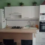 Rent 1 bedroom apartment of 10 m² in Loos