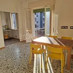 Rent 4 bedroom apartment of 100 m² in Trento