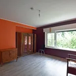 Rent 4 bedroom house of 198 m² in Eeklo