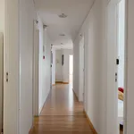 Rent 12 bedroom apartment in Lisbon