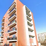 Rent 1 bedroom apartment of 60 m² in Porto, Paranhos