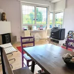 Rent 1 bedroom apartment of 65 m² in Rome