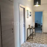 Rent 3 bedroom apartment of 70 m² in Ancona