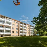 Rent 2 bedroom apartment of 60 m² in Chemnitz