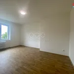 Pronájem bytu 2+1 53m²