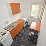 Rent 1 bedroom apartment of 35 m² in Timisoara