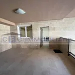 Rent 2 bedroom apartment of 61 m² in Segrate