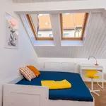 Studio o rozloze 30 m² v prague