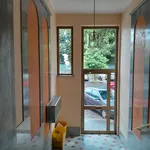 Rent 1 bedroom apartment of 50 m² in Torino