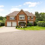 Rent 6 bedroom house in South East England